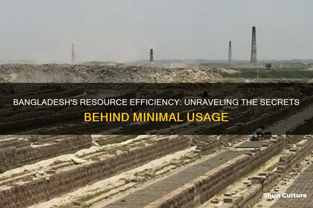 why does bangladesh use so little resources
