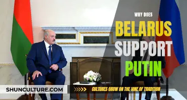 Belarus-Putin Alliance: Geopolitical Interests and Historical Ties