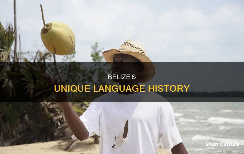 why does belize not speak spanish