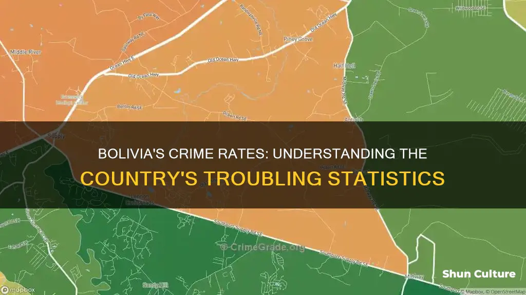 why does bolivia has high crime rates