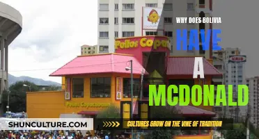 McDonald's in Bolivia: A Taste of Globalization