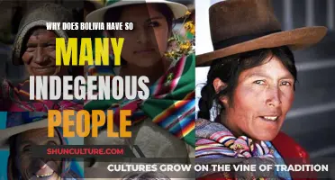 Bolivia's Indigenous Heritage: A Cultural Legacy