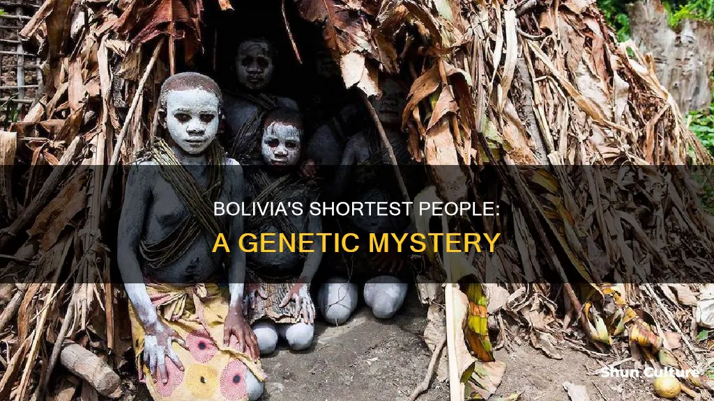 why does bolivia have the shortest people