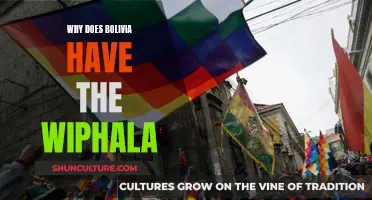 Bolivia's Wiphala: A Symbol of Indigenous Pride and Unity