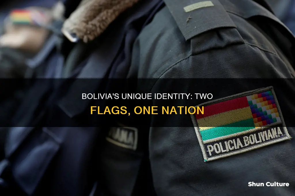 why does bolivia have two flags