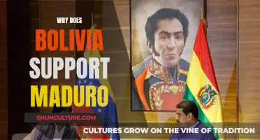 Bolivia's Support for Maduro: Understanding the Political Alliance