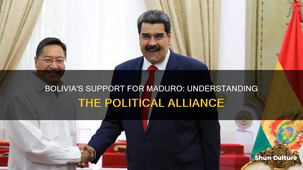 why does bolivia support maduro