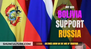 Russia-Bolivia Alliance: Understanding Bolivia's Support for Putin