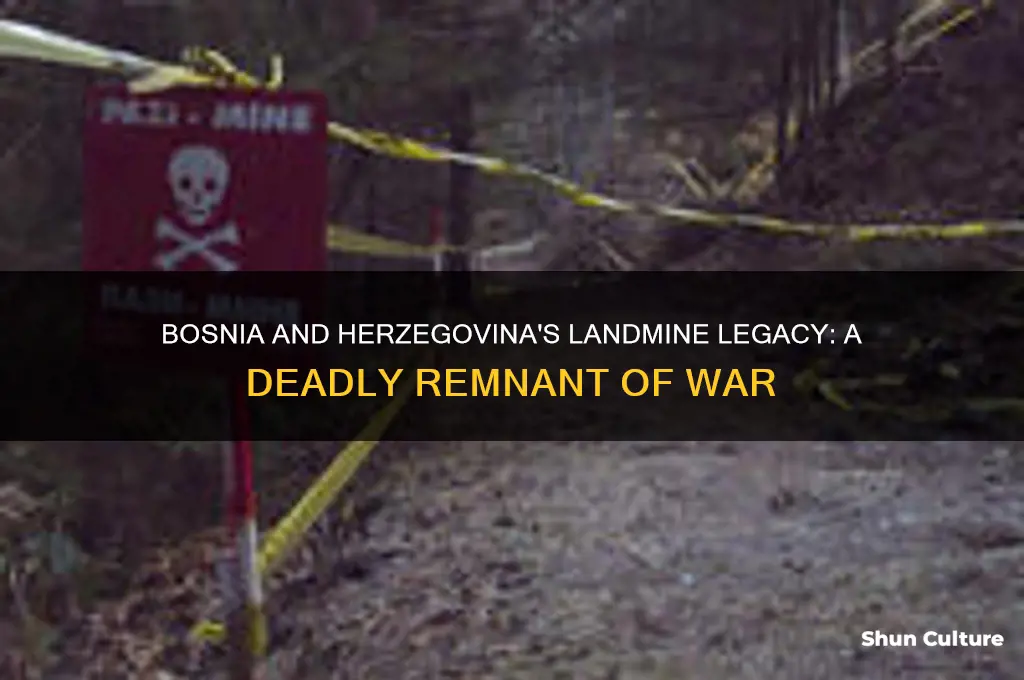 why does bosnia and herzegovina have so many landmines