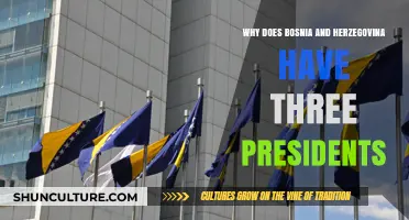 Bosnia and Herzegovina's Unique Presidency: Understanding the Three-President System