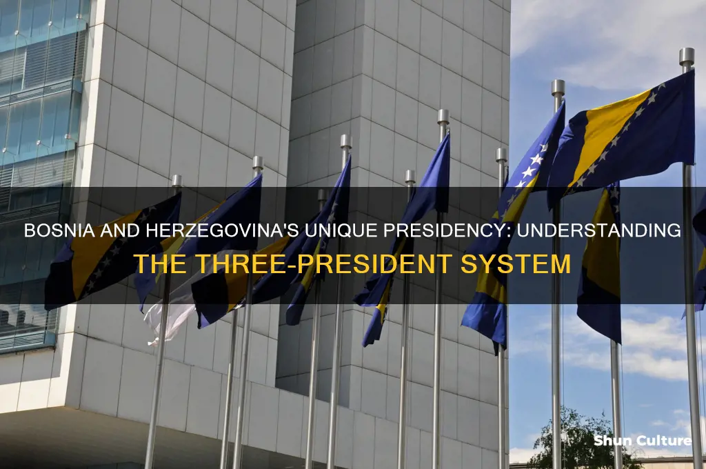 why does bosnia and herzegovina have three presidents