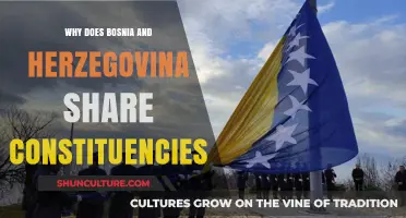 Bosnia and Herzegovina's Shared Constituencies: Understanding the Political Structure
