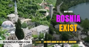 Bosnia's Complex History: Understanding Its Existence and Cultural Identity