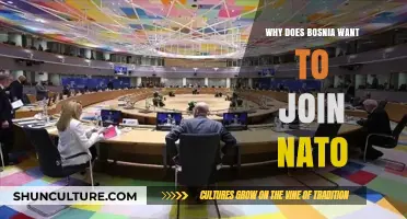 Bosnia's NATO Aspirations: Security, Stability, and Strategic Alliance Goals