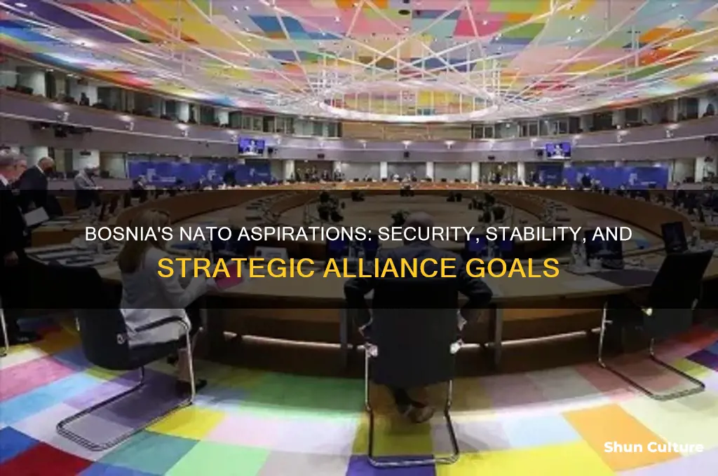 why does bosnia want to join nato