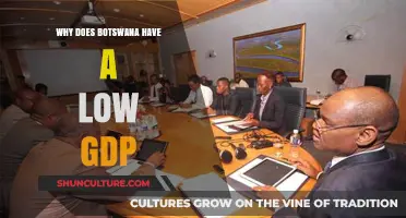 Botswana's Low GDP: Unraveling Economic Challenges and Opportunities