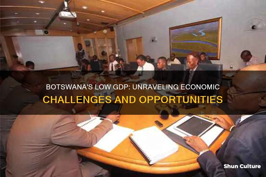 why does botswana have a low gdp