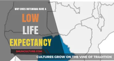 Botswana's Low Life Expectancy: Uncovering the Hidden Factors Behind the Trend