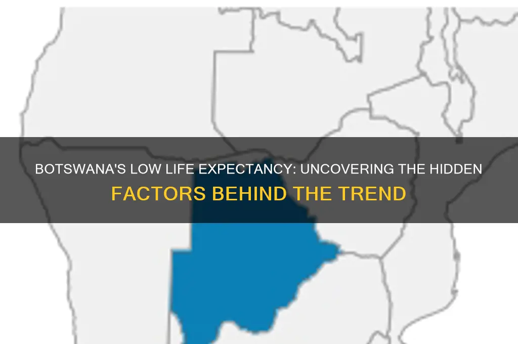 why does botswana have a low life expectancy
