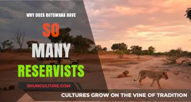Botswana's Reservist Strength: Unpacking the Nation's Robust Military Reserve