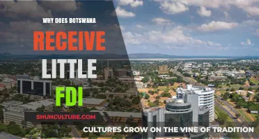 Understanding Botswana's Low Foreign Direct Investment: Key Factors and Challenges