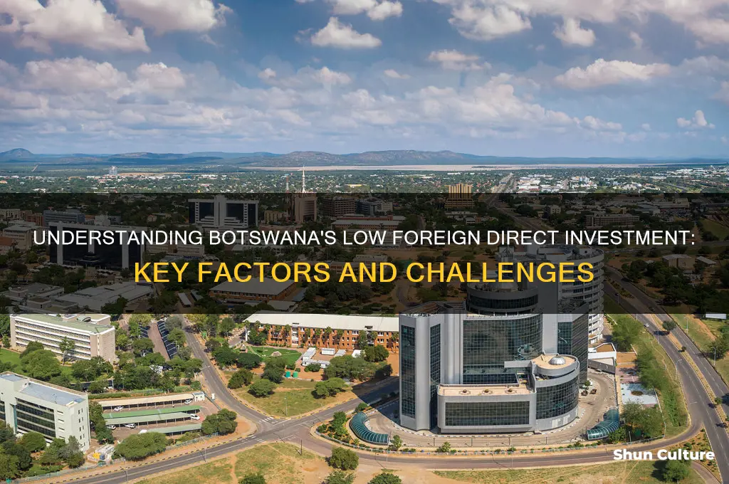 why does botswana receive little fdi