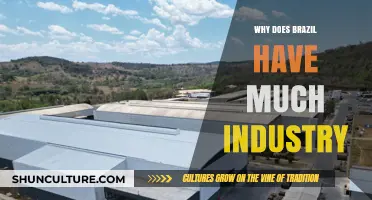 Brazil's Industrial Powerhouse: Key Factors Driving Its Manufacturing Dominance