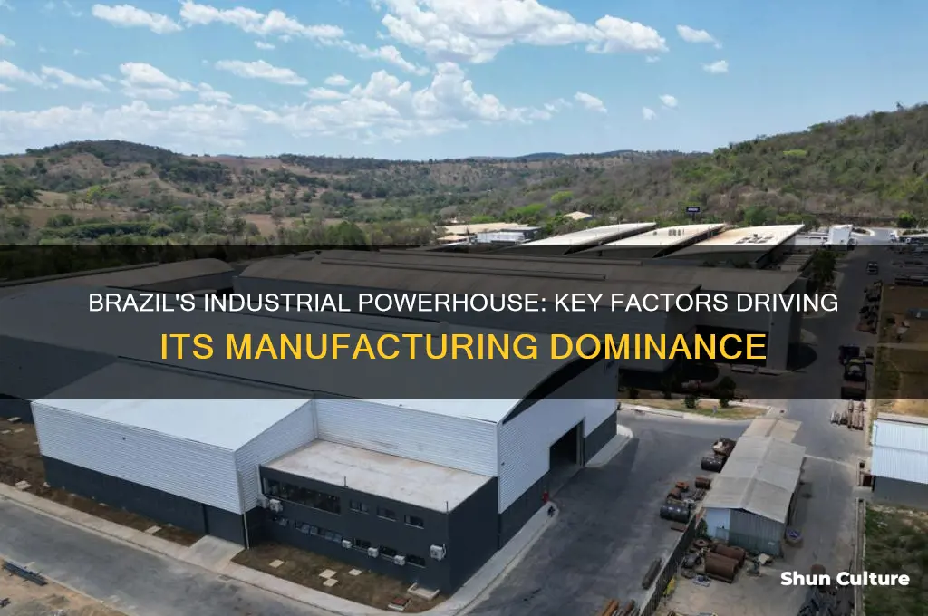 why does brazil have much industry