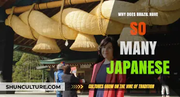 Brazil's Japanese Legacy: Unraveling the Surprising Cultural Connection