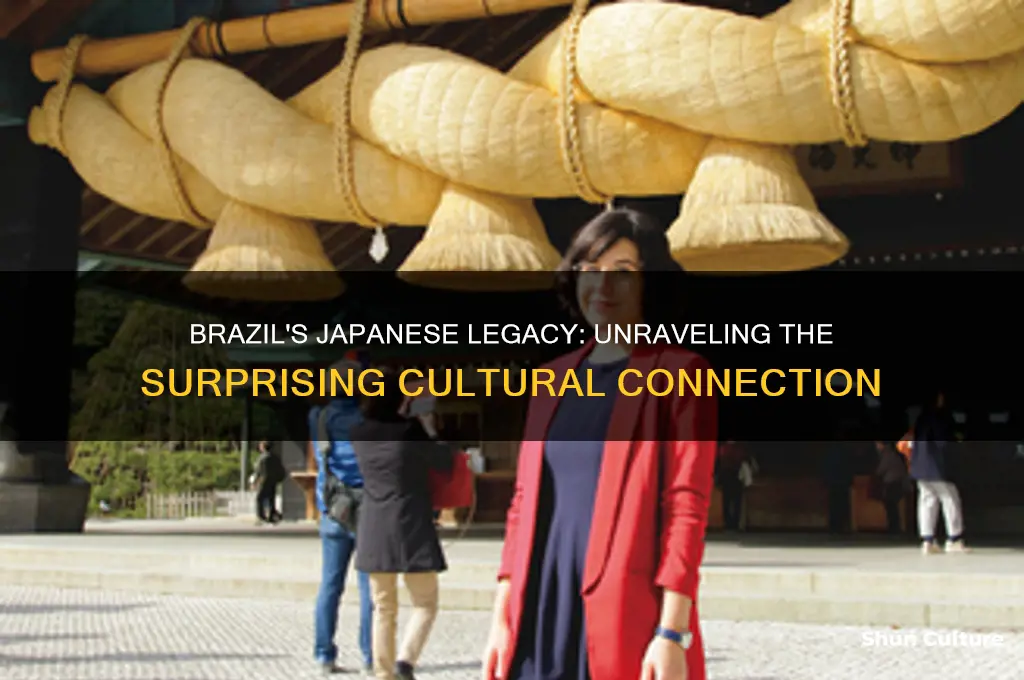 why does brazil have so many japanese