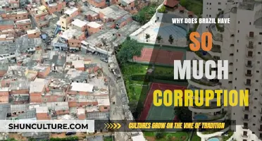 Root Causes of Brazil's Rampant Corruption: A Deep Dive