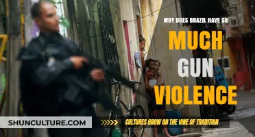 Brazil's Gun Violence Crisis: Unraveling the Complex Causes and Consequences