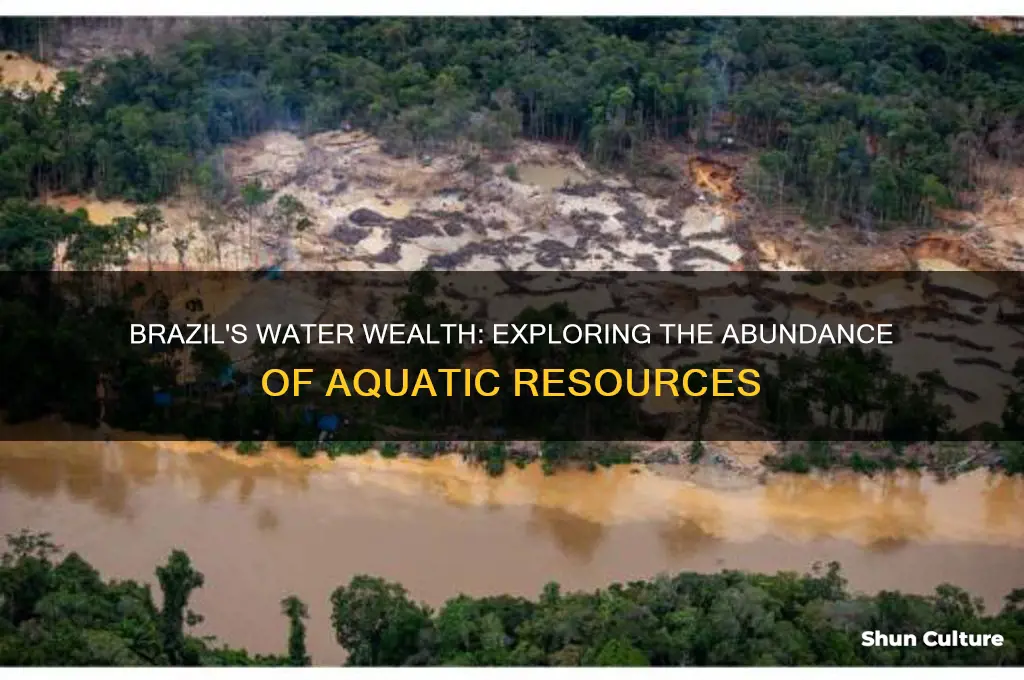 why does brazil have so much water