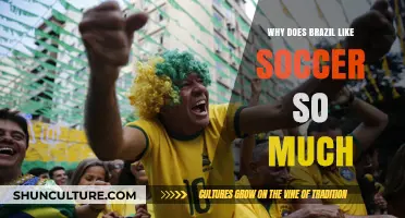 Brazil's Soccer Passion: History, Culture, and National Identity Explained
