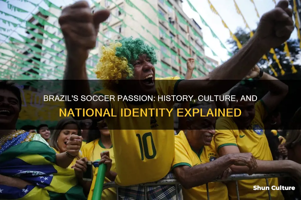 why does brazil like soccer so much