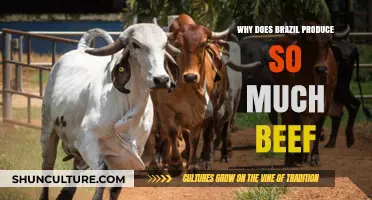 Brazil's Beef Boom: Exploring the Factors Behind Its Massive Production