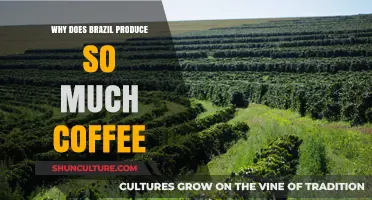 Brazil's Coffee Dominance: Climate, History, and Global Demand Explained