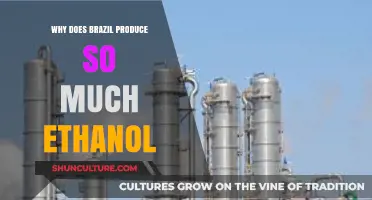 Brazil's Ethanol Boom: Uncovering the Secrets Behind Its Massive Production