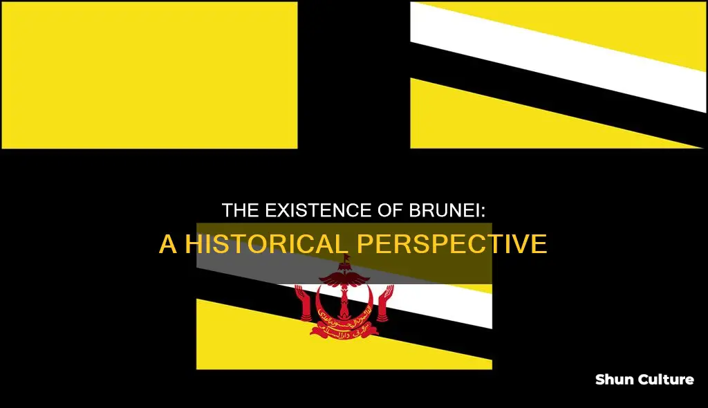 why does brunei exist