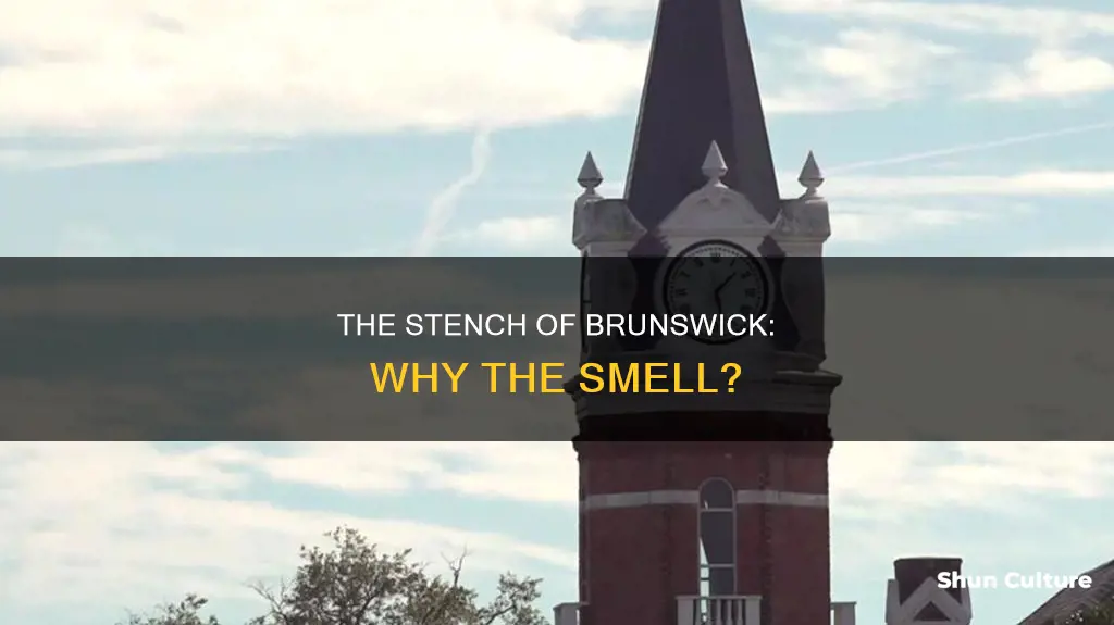 why does brunswick ga smell