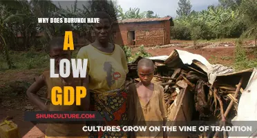 Understanding Burundi's Economic Challenges: A GDP Perspective