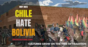 Historical Hatred: Chile and Bolivia's Conflict