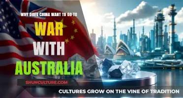 China-Australia Tensions: Unraveling the Reasons Behind Potential Conflict
