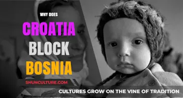 Croatia's Bosnia Blockade: Political Tensions and Border Disputes Explained