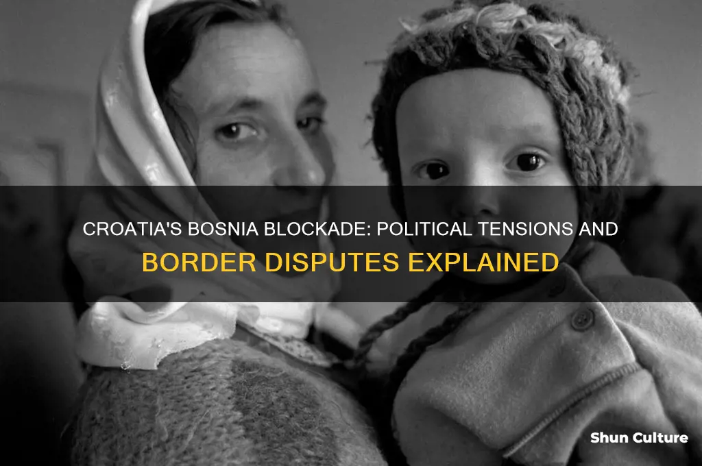 why does croatia block bosnia