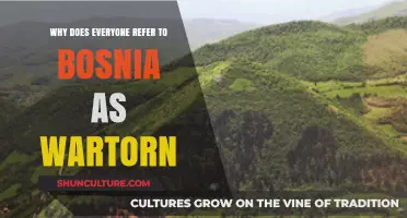 Bosnia's Wartorn Label: Unraveling the Persistent Perception and Its Origins
