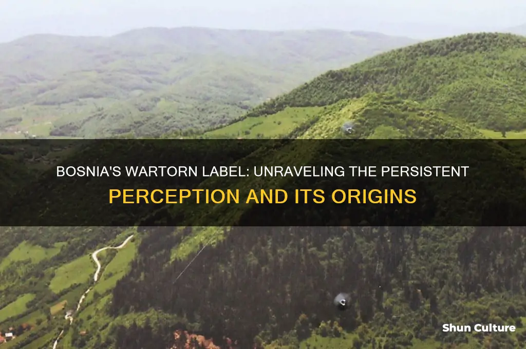 why does everyone refer to bosnia as wartorn