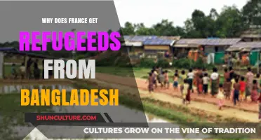 Why Bangladeshis Seek Refuge in France: Unraveling the Migration Crisis