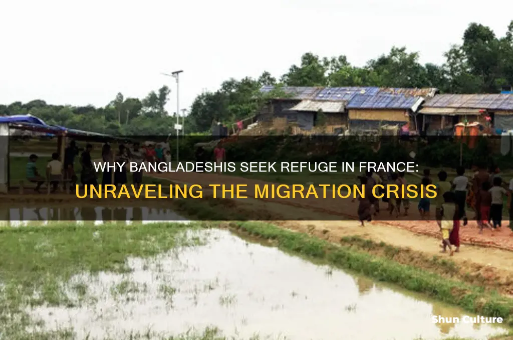 why does france get refugeeds from bangladesh