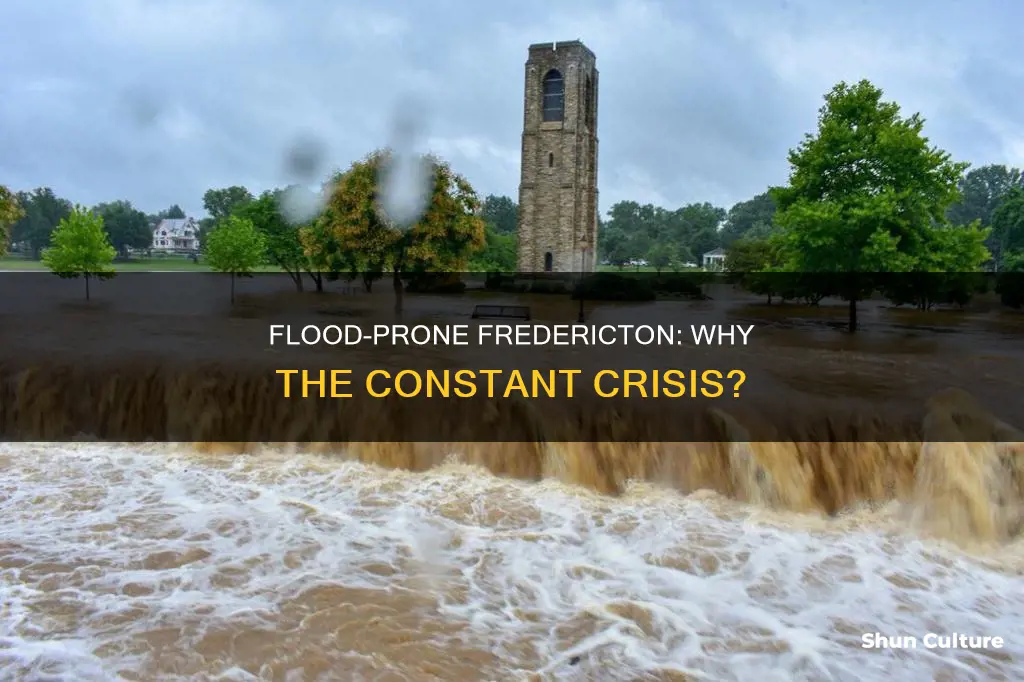 why does frederick new brunswick keep flooding